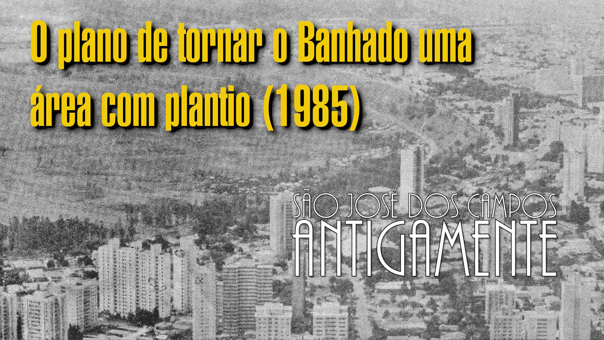 O plano de tornar o Banhado uma área com plantio (1985)