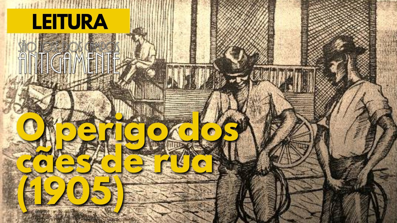 O perigo dos cães de rua (1905)