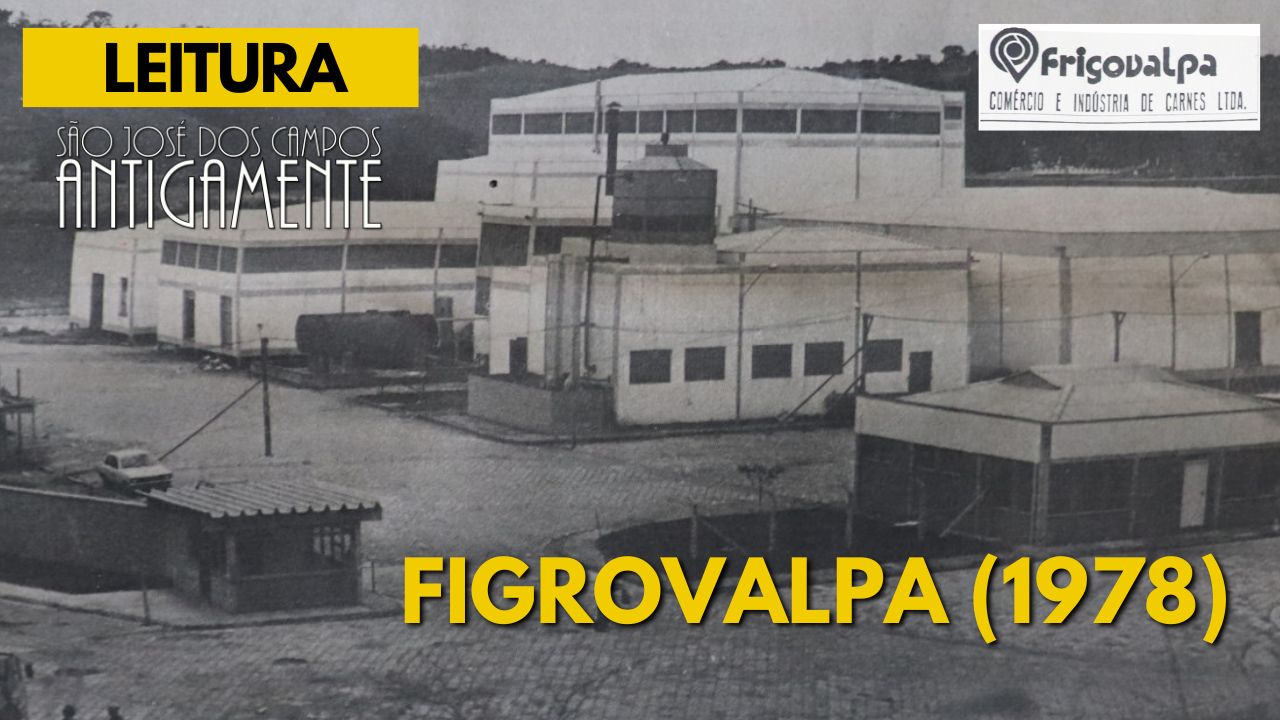 Frigovalpa – 1978